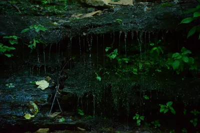 DSC_2796 (Large).JPG